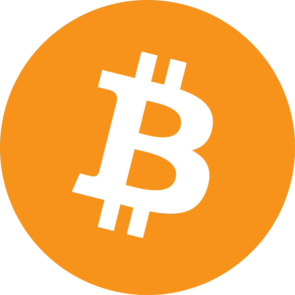 Bitcoin wallet support